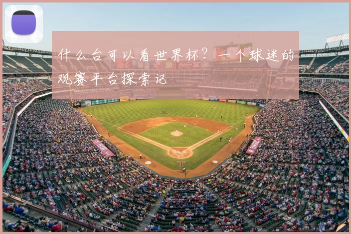 什么台可以看世界杯？一个球迷的观赛平台探索记