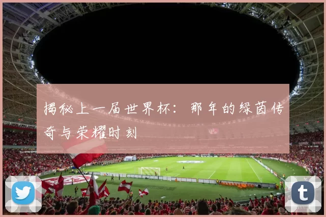 揭秘上一届世界杯:那年的绿茵传奇与荣耀时刻