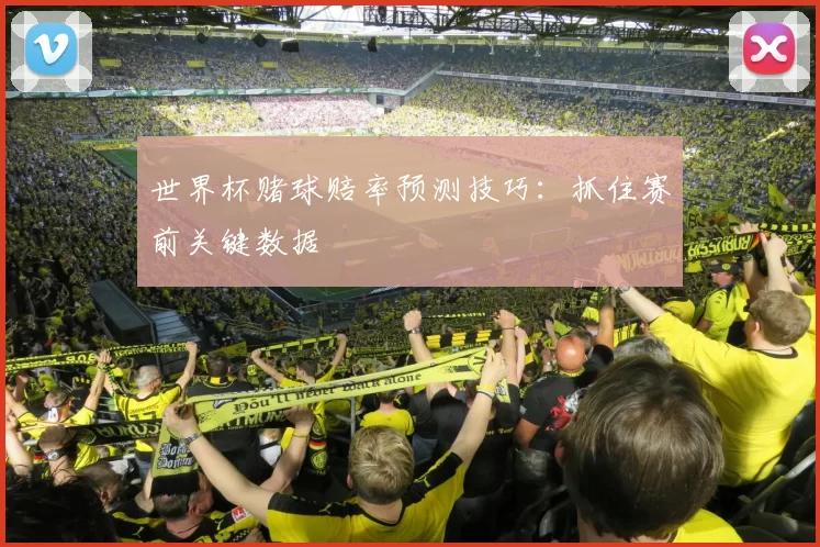 世界杯赌球赔率预测技巧：抓住赛前关键数据