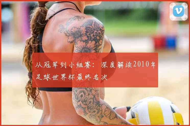 从冠军到小组赛：深度解读2010年足球世界杯最终名次