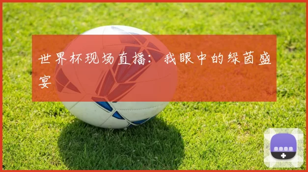 世界杯现场直播:我眼中的绿茵盛宴