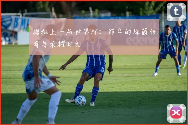 揭秘上一届世界杯:那年的绿茵传奇与荣耀时刻