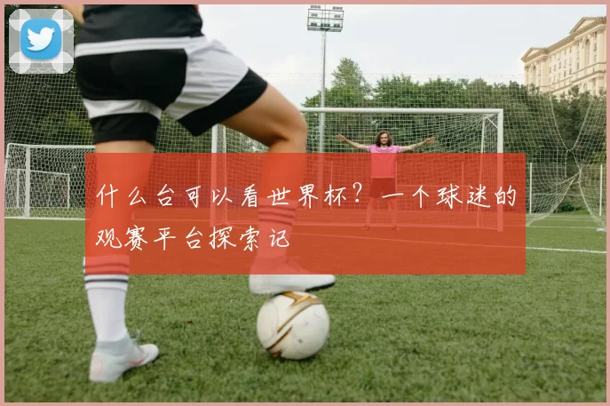 什么台可以看世界杯？一个球迷的观赛平台探索记