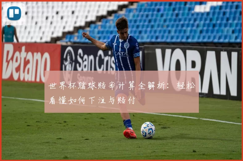 世界杯赌球赔率计算全解析:轻松看懂如何下注与赔付
