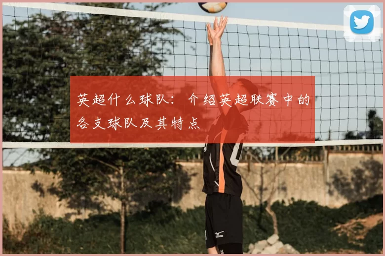 英超什么球队:介绍英超联赛中的各支球队及其特点