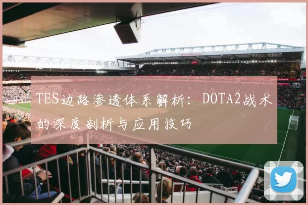 TES边路渗透体系解析：DOTA2战术的深度剖析与应用技巧