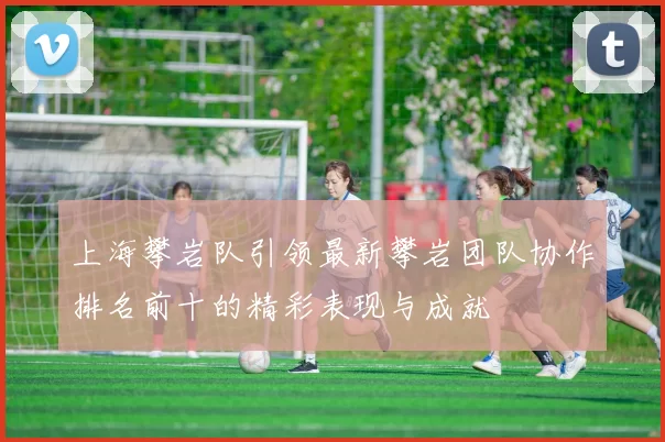 上海攀岩队引领最新攀岩团队协作排名前十的精彩表现与成就