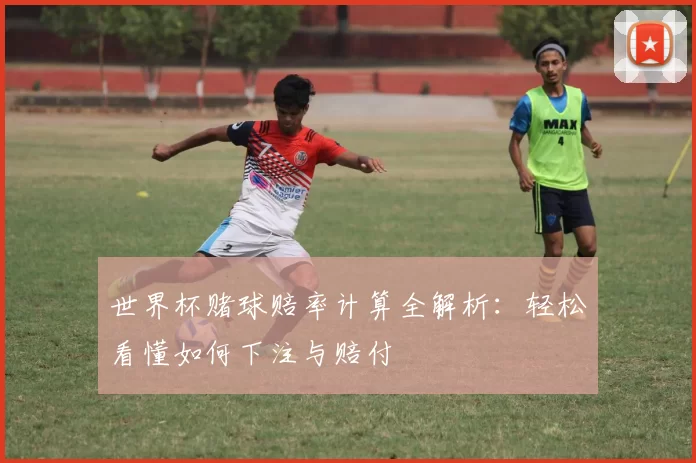 世界杯赌球赔率计算全解析:轻松看懂如何下注与赔付