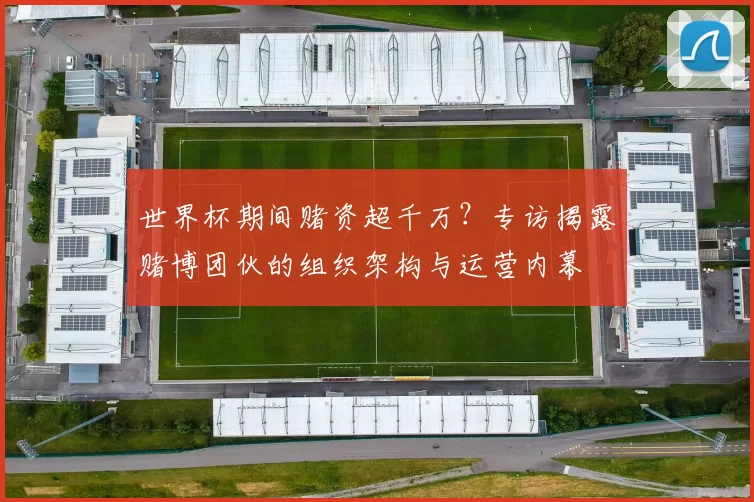 世界杯期间赌资超千万?专访揭露赌博团伙的组织架构与运营内幕