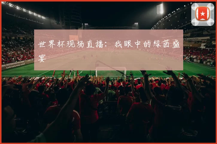 世界杯现场直播：我眼中的绿茵盛宴
