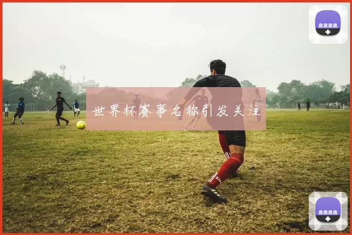 世界杯赛事名称引发关注