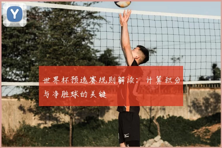 世界杯预选赛规则解读：计算积分与净胜球的关键