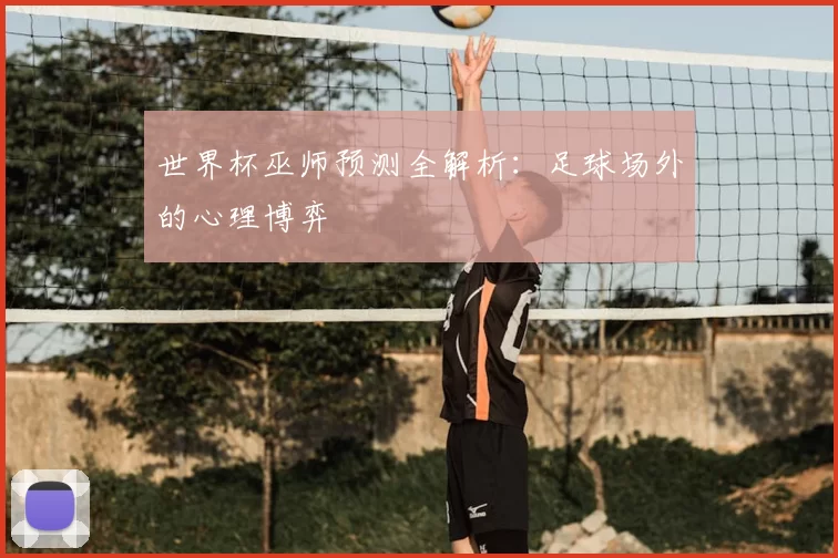 世界杯巫师预测全解析:足球场外的心理博弈
